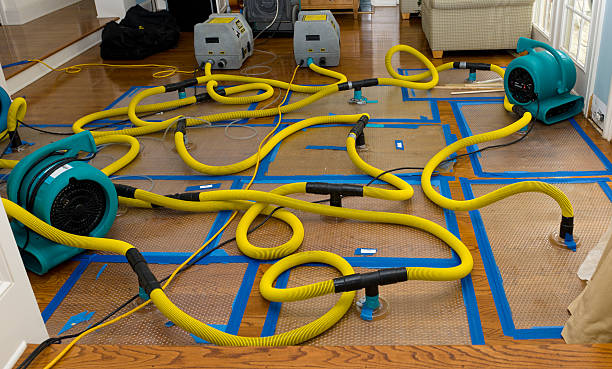 Professional Water Extraction technician working in Franklin, LA